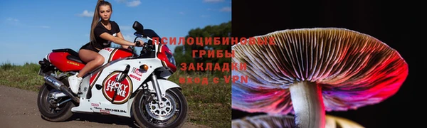 шишки Алексин