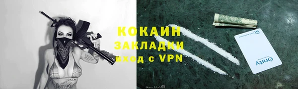 соль ск Алзамай