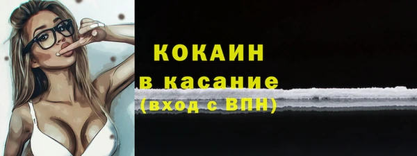 соль ск Алзамай